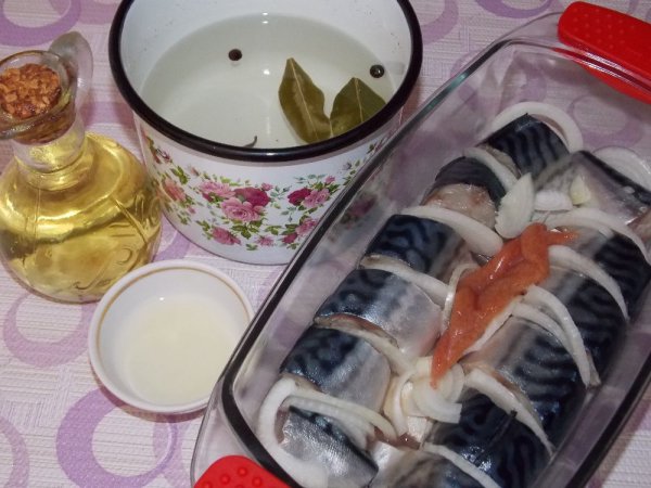 Ландшафт для макета Ландшафт для макета