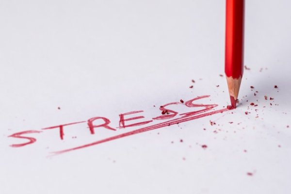 Можно ли заразиться стрессом?