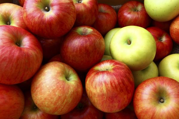 Яблоко — ценный фрукт