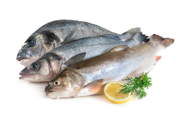 Советы и рекомендации по определению качества рыбы
