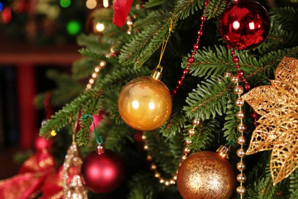 Как сохранить новогоднюю елку: 5 секретов