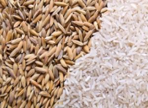 Польза рисовой каши